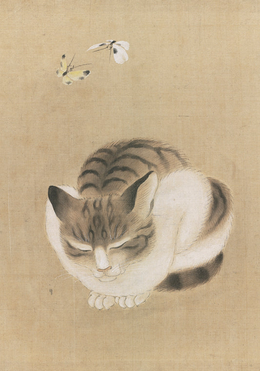 Sleeping Cat and Butterflies Small Boxed Cards_Primary