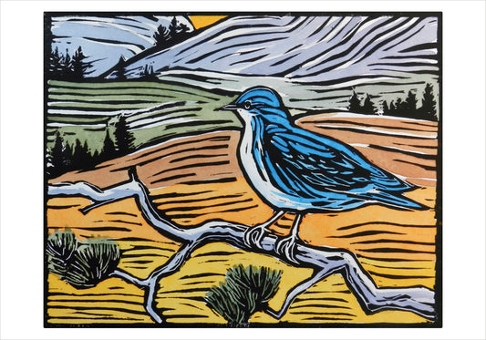 Molly Hashimoto: Mountain Bluebird Small Boxed Cards_Primary