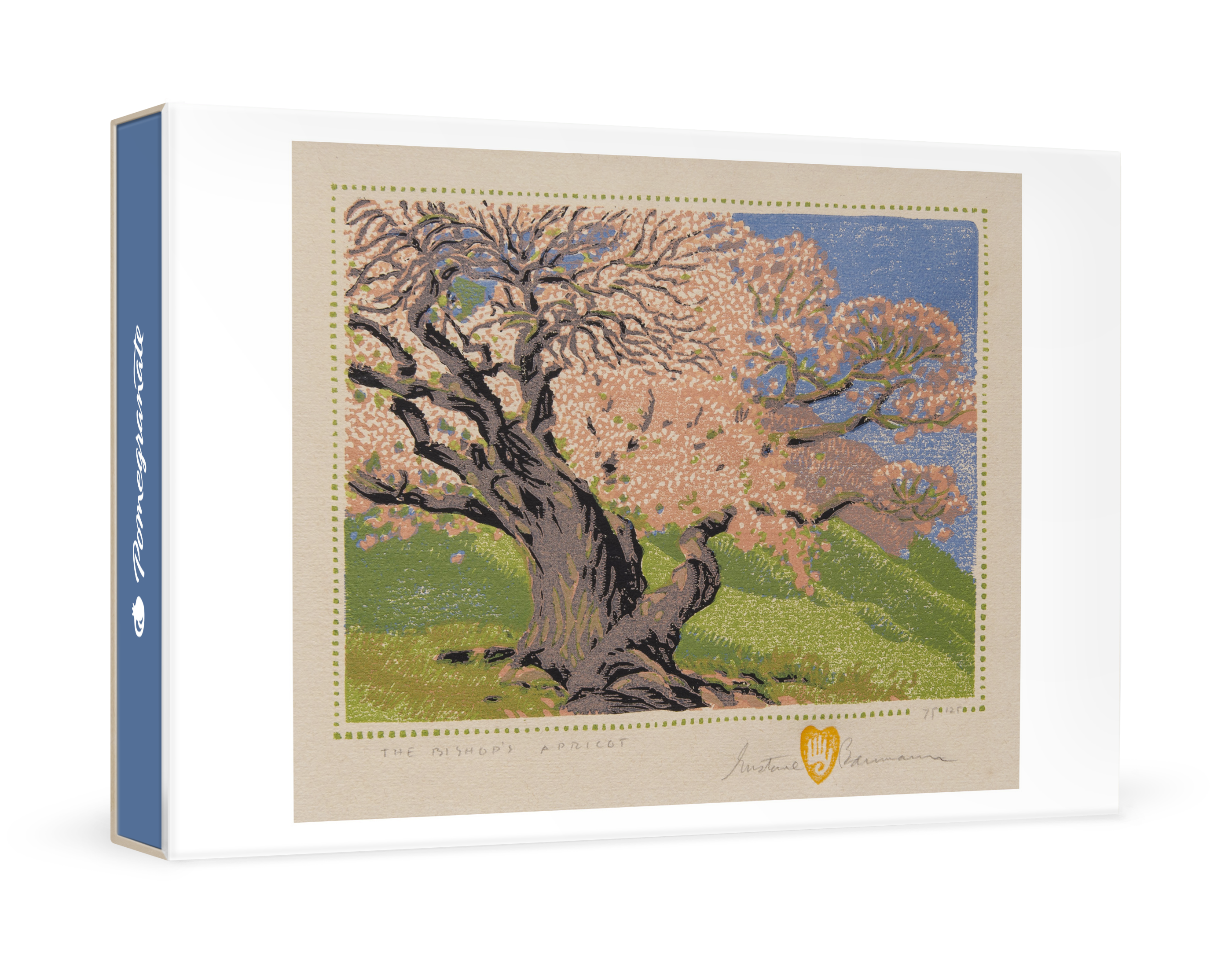Gustave Baumann: The Bishop's Apricot Small Boxed Cards – Pomegranate