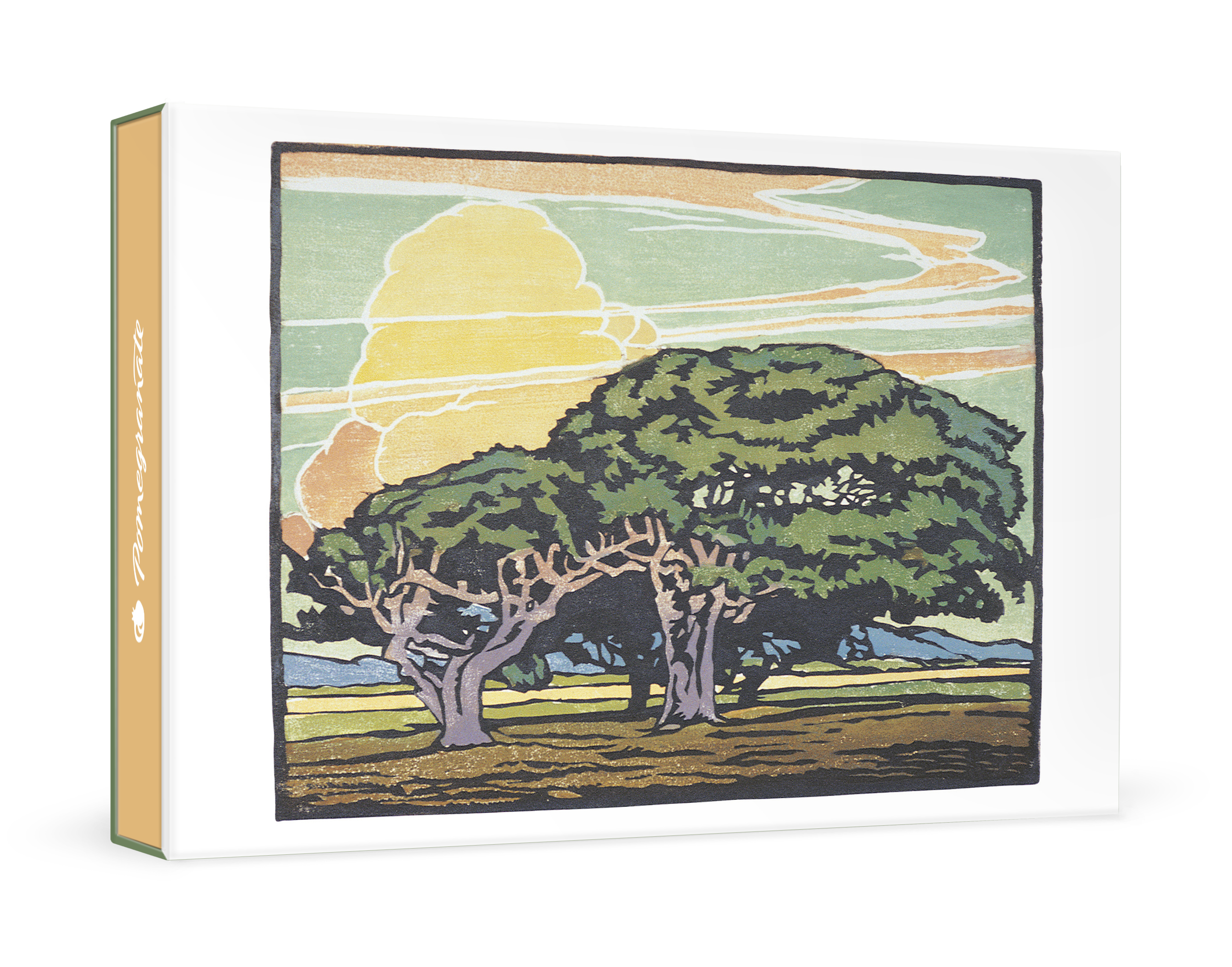 Gilles Sacksick、printemps、希少高級画集画、新品額装付 William S. Rice: Del Monte Oaks Small Boxed Cards – Pomegranate