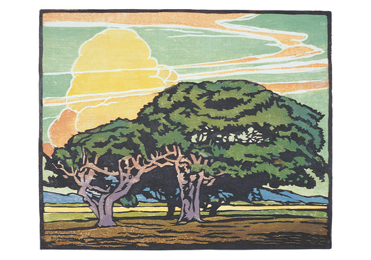 William S. Rice: Del Monte Oaks Small Boxed Cards_Primary