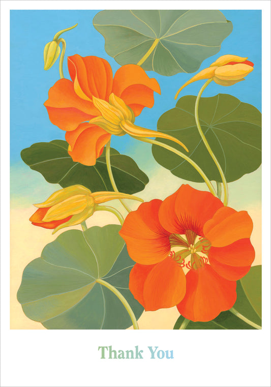 Siri Schillios: Nasturtium Boxed Thank You Notes_Primary