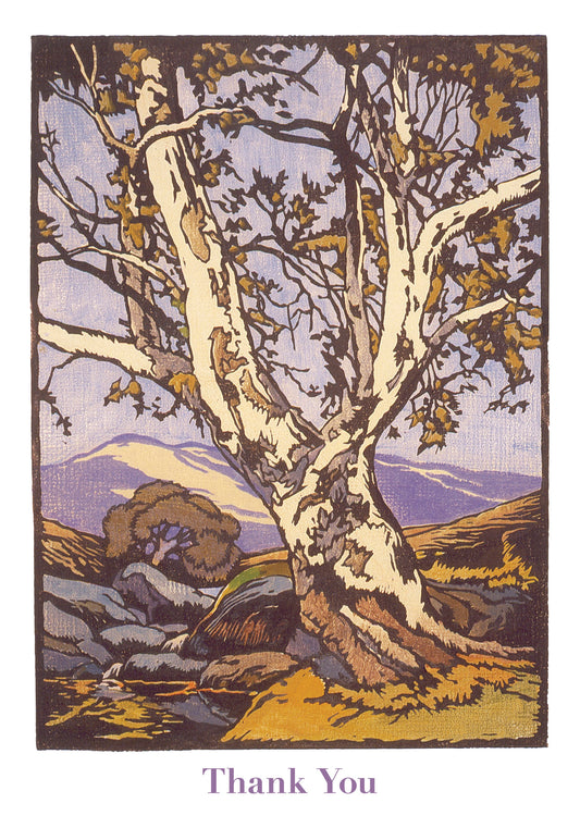 William S. Rice: Western Sycamore Boxed Thank You Notes_Primary