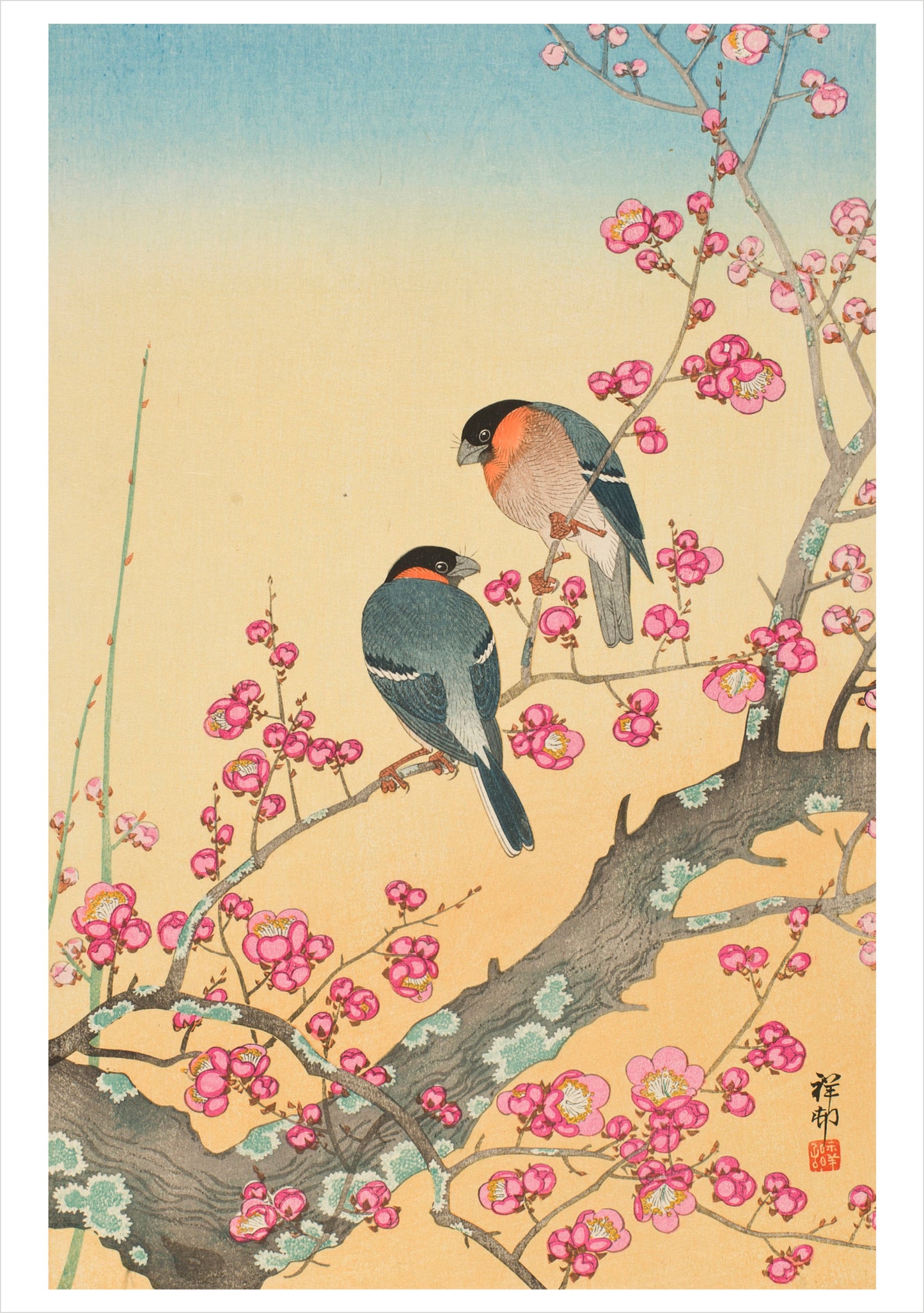 Ohara Shōson Boxed Notecard Assortment_Interior_1