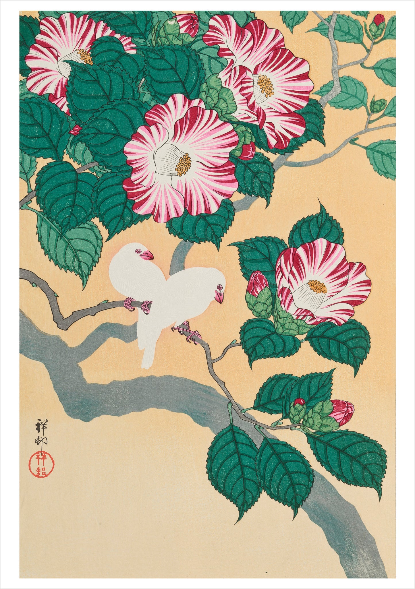 Ohara Shōson Boxed Notecard Assortment_Interior_2