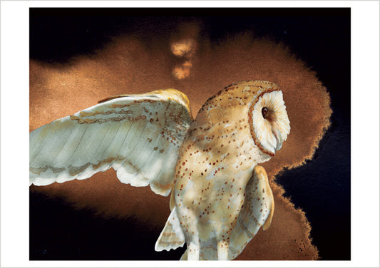 Barn Owls by Jeannine Chappell Boxed Notecard Assortment_Front_3D