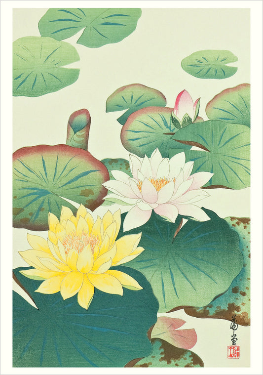 Haiku: Japanese Art and Poetry Boxed Notecard Assortment_Front_3D