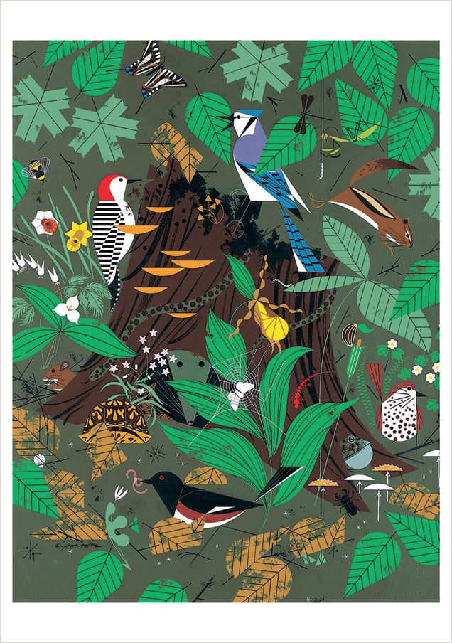 Charley Harper: Woodland Wonders Notecard – Pomegranate