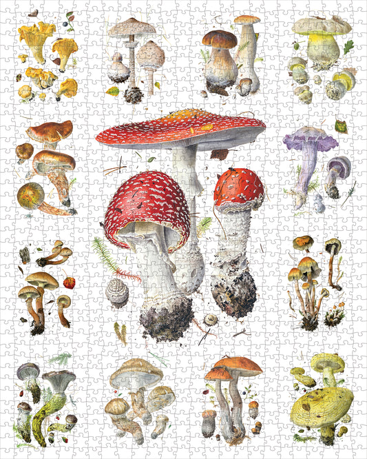 Mushrooms: Alexander Viazmensky 1000-Piece Jigsaw Puzzle_Primary