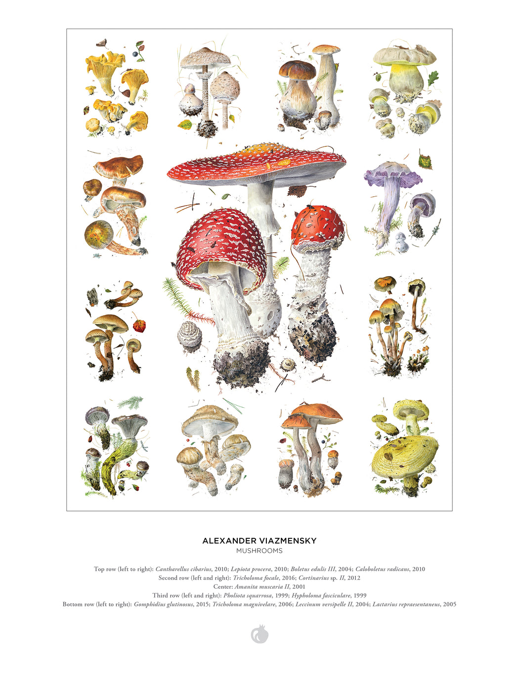 Mushrooms: Alexander Viazmensky 1000-Piece Jigsaw Puzzle_Interior_1