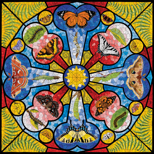 David Cohen: Butterfly Rose Window 1000-Piece Jigsaw Puzzle_Primary