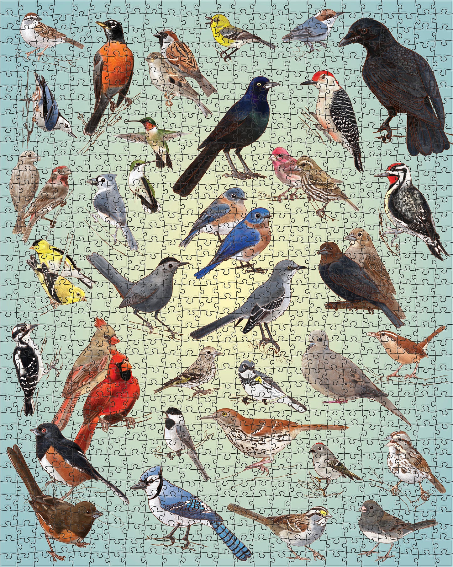 Casey Girard: Backyard Birds 1000-Piece Jigsaw Puzzle_Zoom