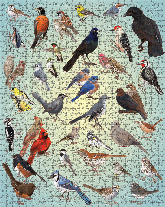 Casey Girard: Backyard Birds 1000-Piece Jigsaw Puzzle_Primary