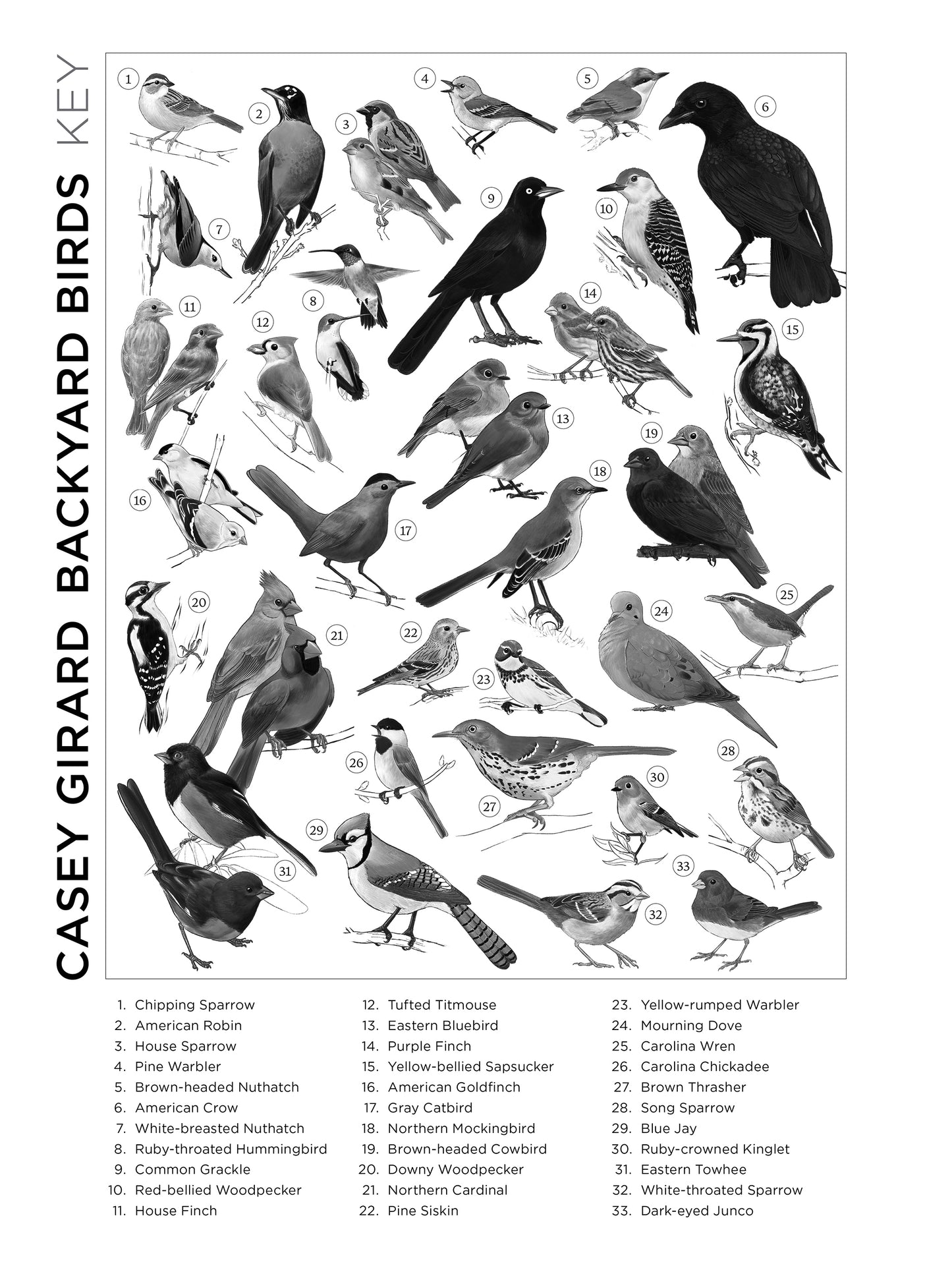 Casey Girard: Backyard Birds 1000-Piece Jigsaw Puzzle_Interior_2