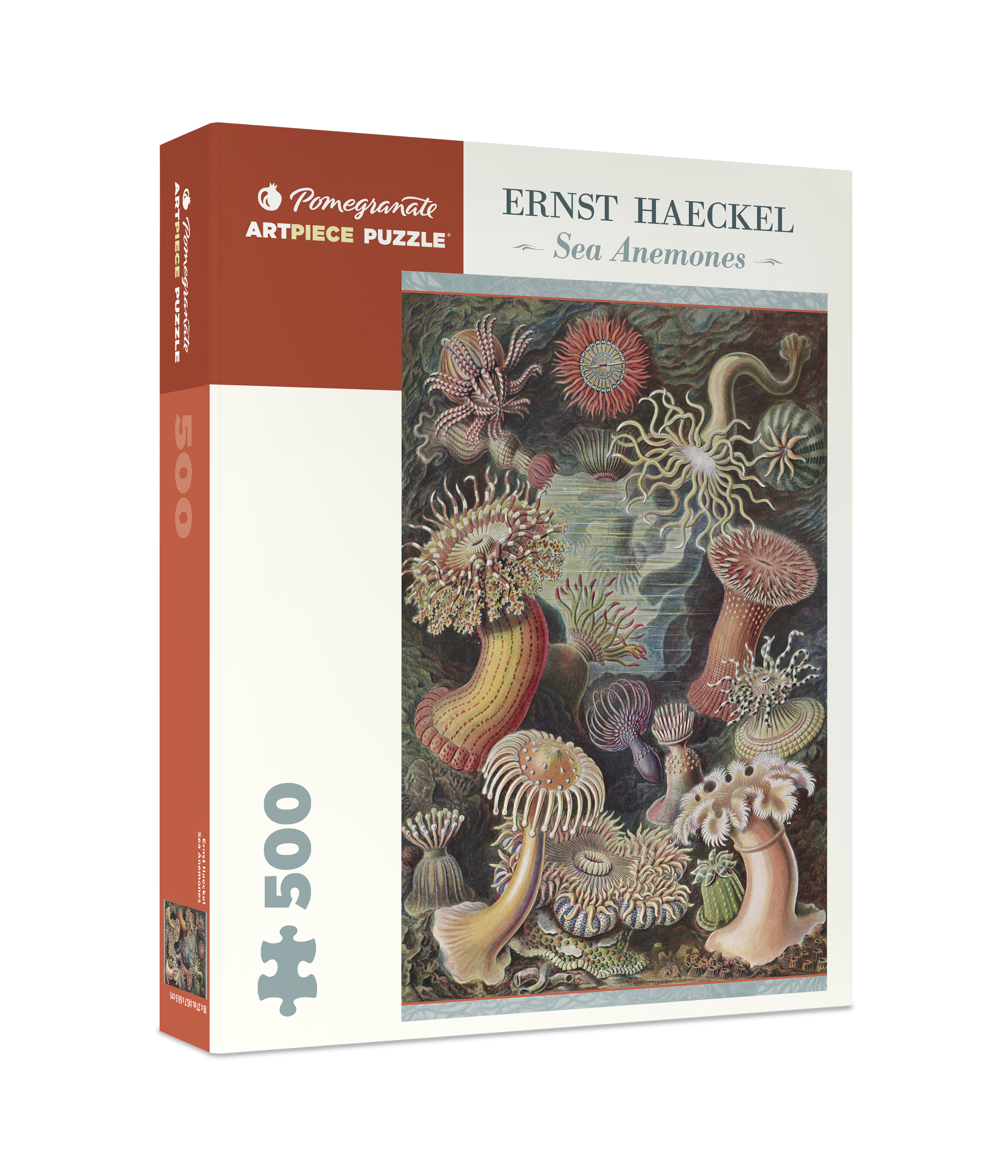 Ernst Haeckel: Sea Anemones 500-Piece Jigsaw Puzzle – Pomegranate