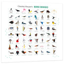 Charley Harper’s Bird Bingo_Interior_1
