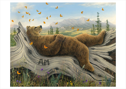 Robert Bissell: Spirit Boxed Notecard Assortment_Front_3D