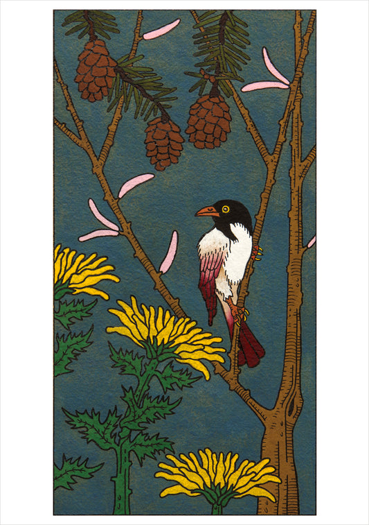 CJ Hurley: Birds Boxed Notecard Assortment_Front_3D