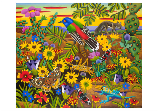 Billy Hassell: In the Wild Boxed Notecard Assortment_Front_3D