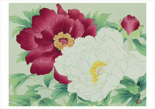 Haiku: Seasonal Japanese Art and Poetry Boxed Notecard Assortment_Front_3D