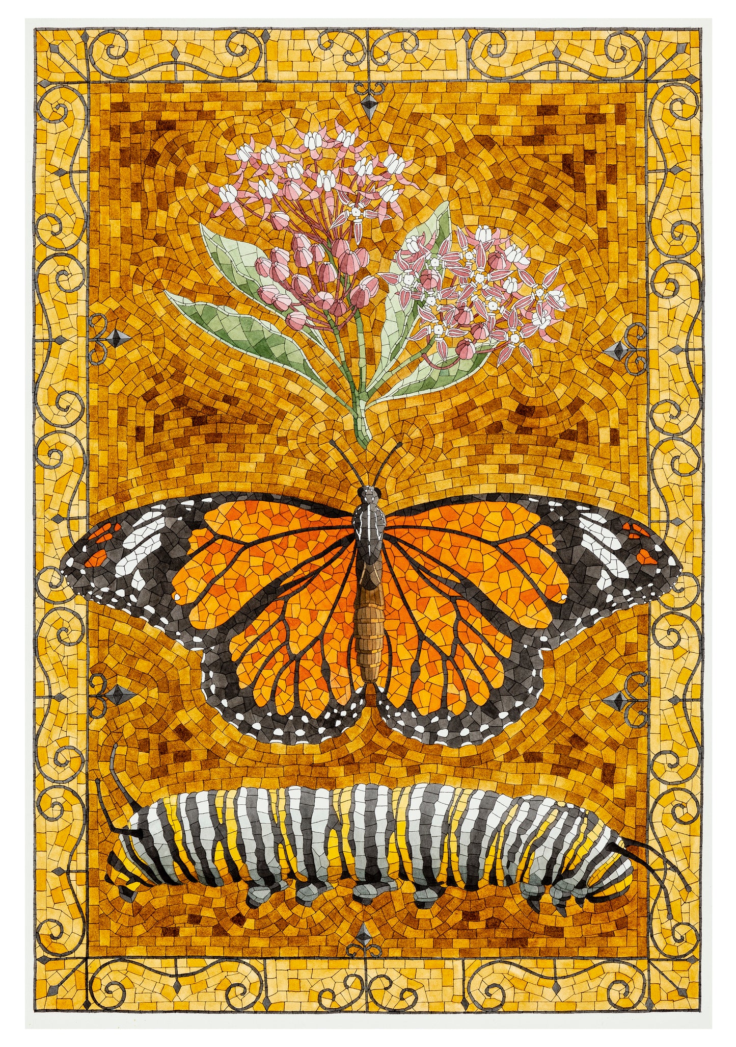 David Cohen: Butterflies Boxed Notecard Assortment_Interior_3