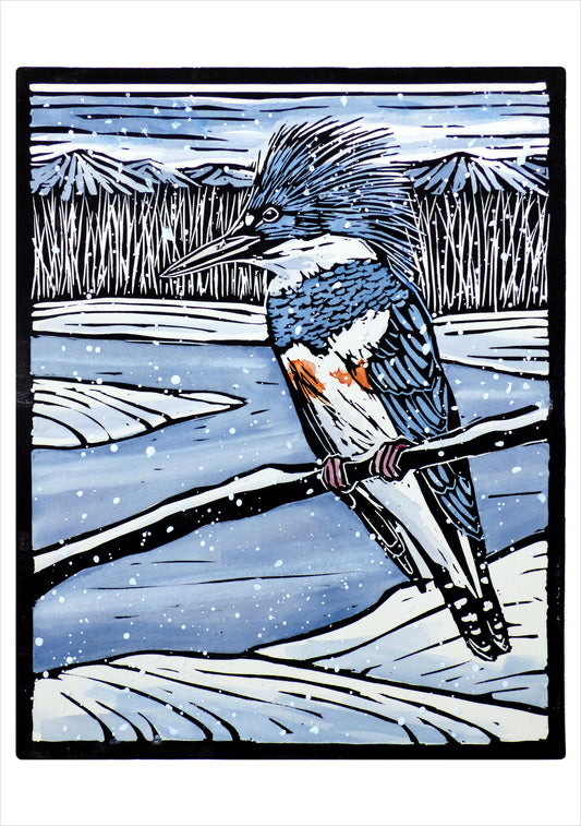 Molly Hashimoto: Kingfisher in the Snow Holiday Cards_Front_3D
