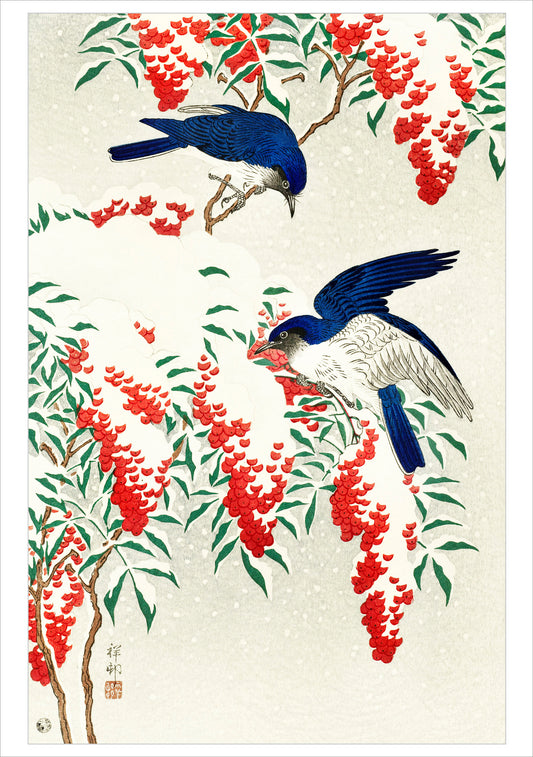 Ohara Koson (Shōson): Flycatchers in Snow Holiday Cards_Primary