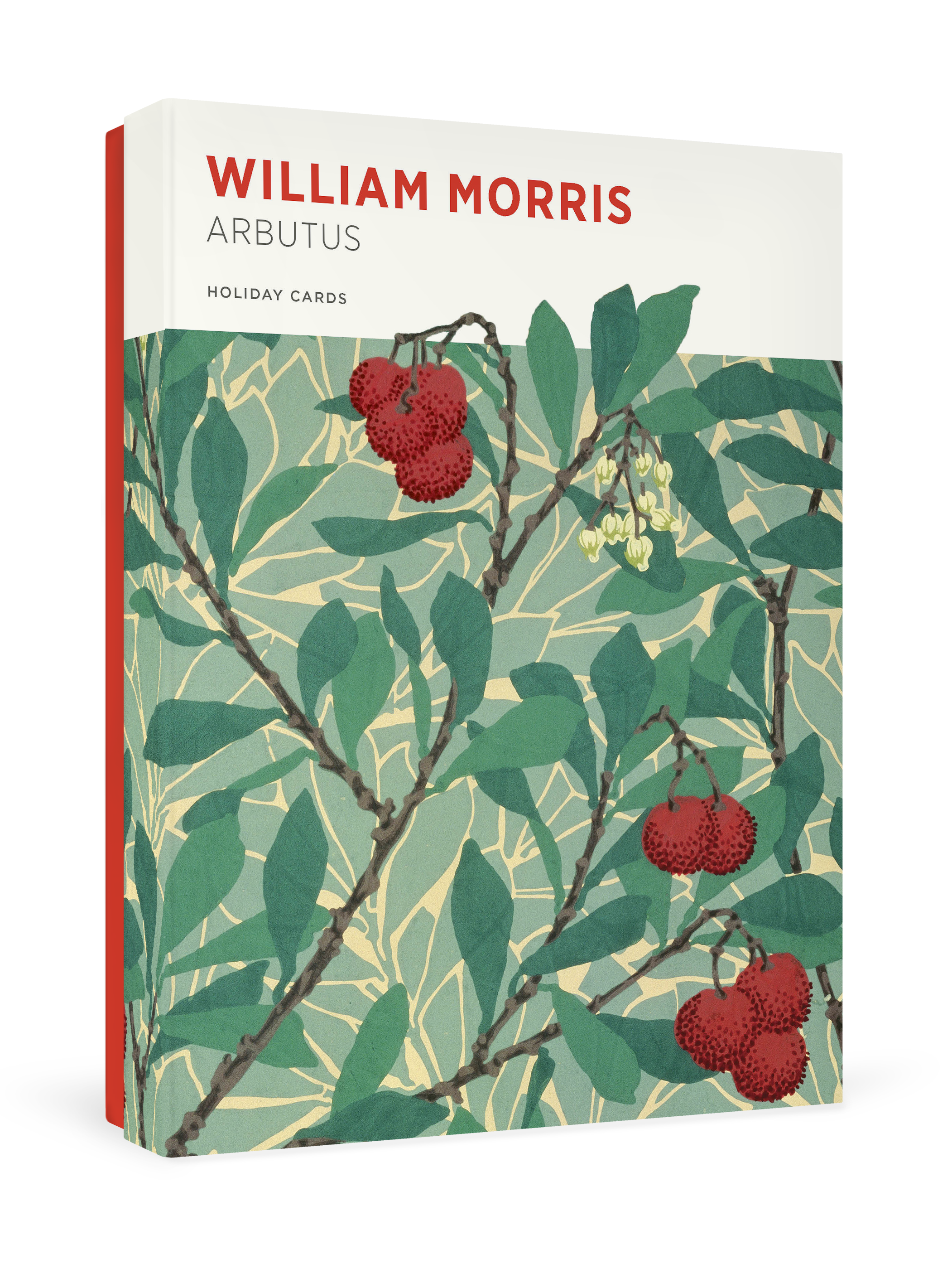William Morris: Arbutus Holiday Cards – Pomegranate