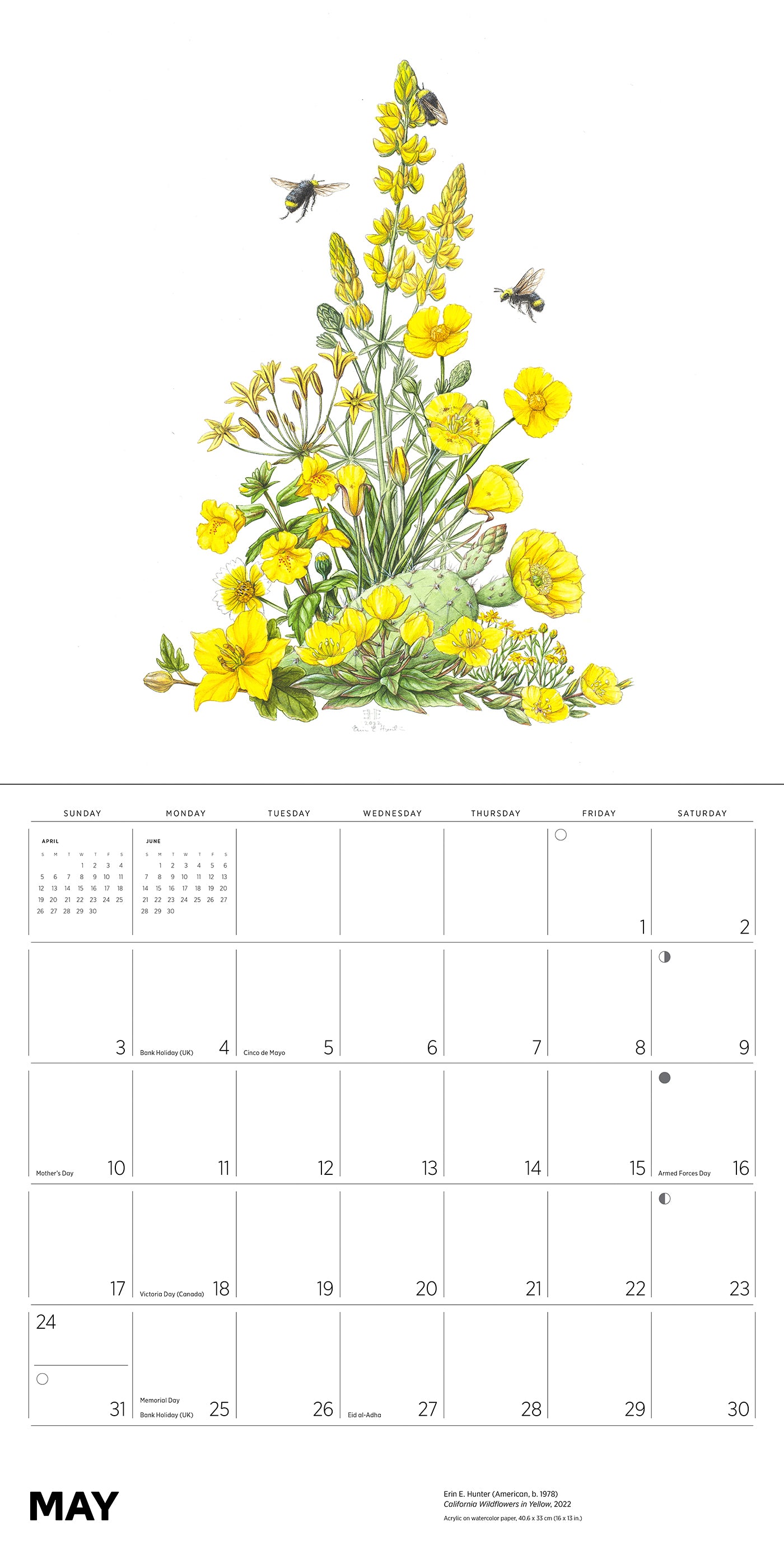 Erin E. Hunter: Pollinators 2026 Wall Calendar_Interior_5