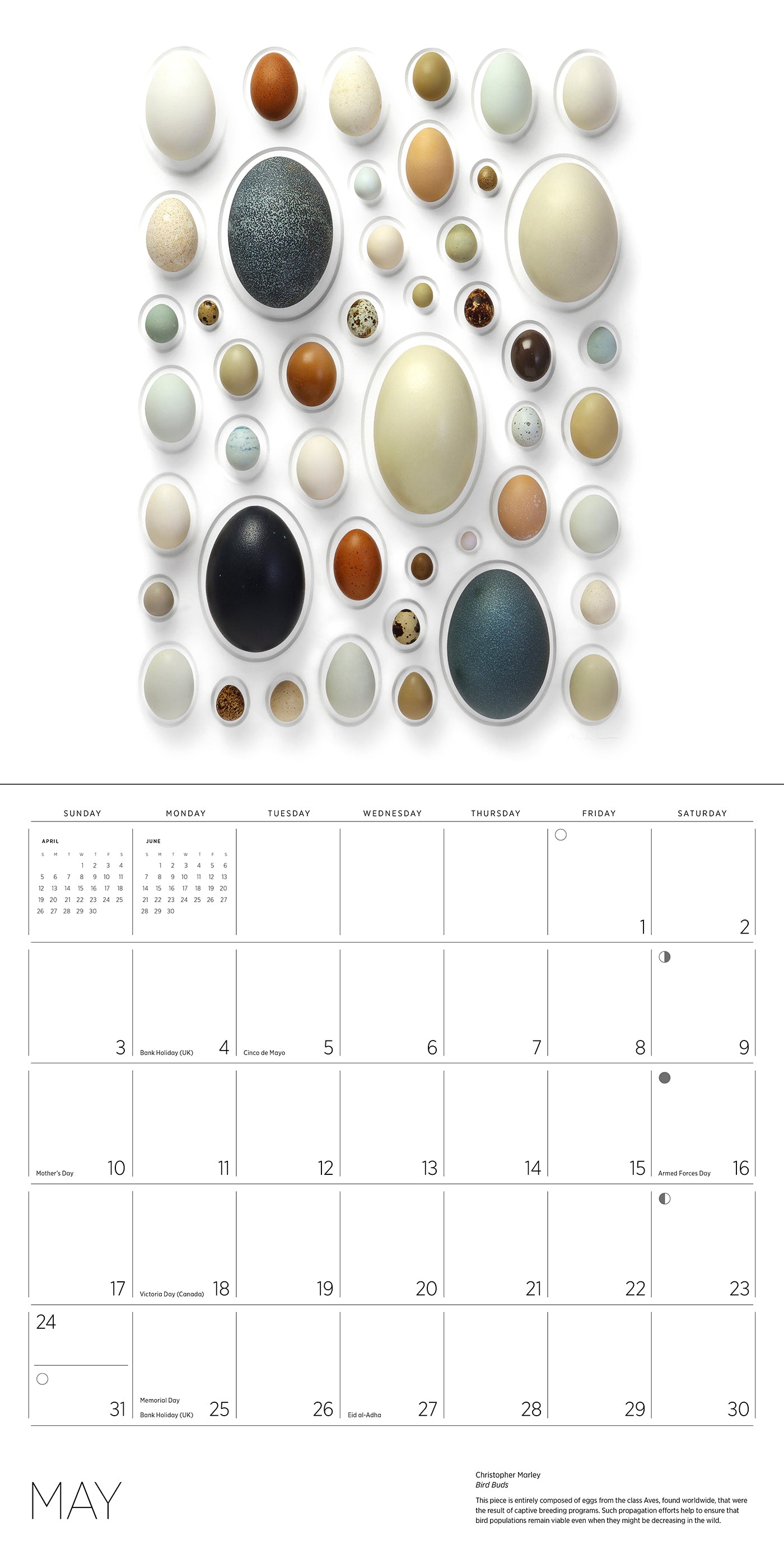 Exquisite Creatures: The Art of Christopher Marley 2026 Wall Calendar_Interior_2