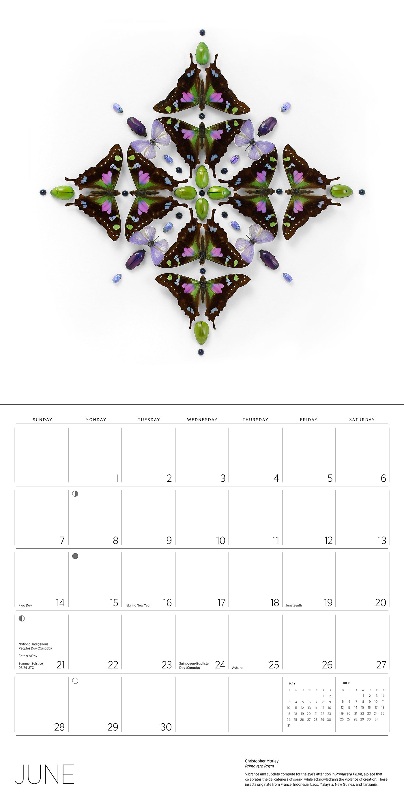 Exquisite Creatures: The Art of Christopher Marley 2026 Wall Calendar_Interior_3