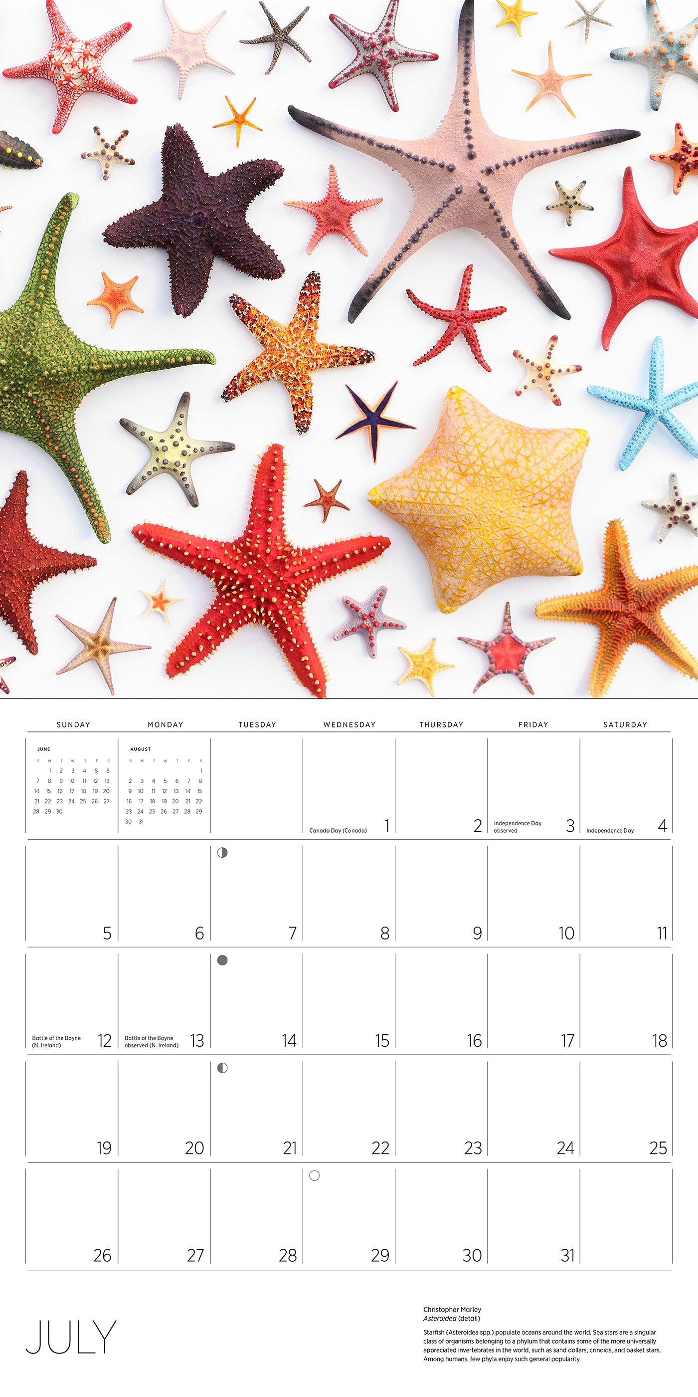 Exquisite Creatures: The Art of Christopher Marley 2026 Wall Calendar_Interior_4