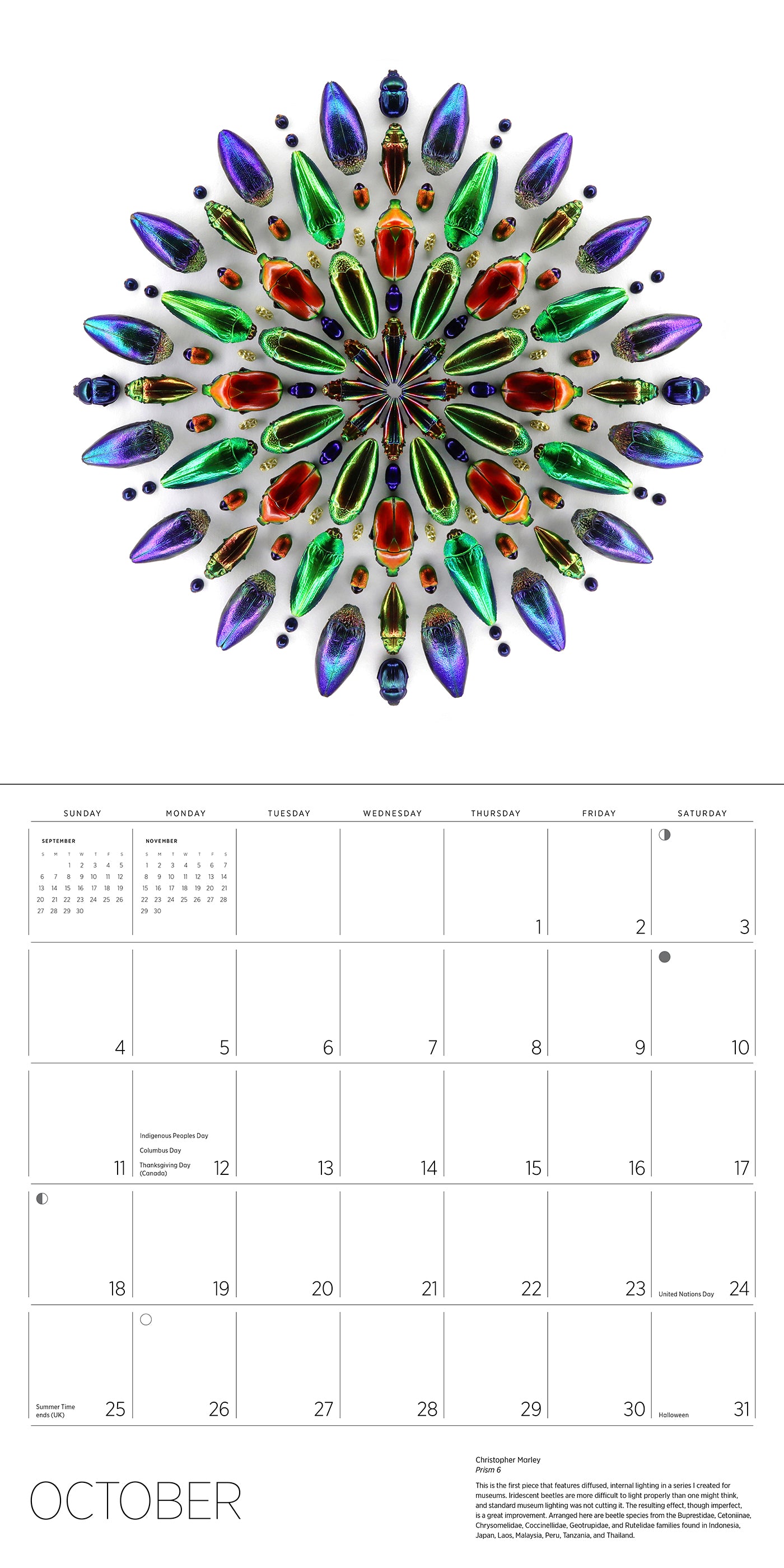 Exquisite Creatures: The Art of Christopher Marley 2026 Wall Calendar_Interior_5