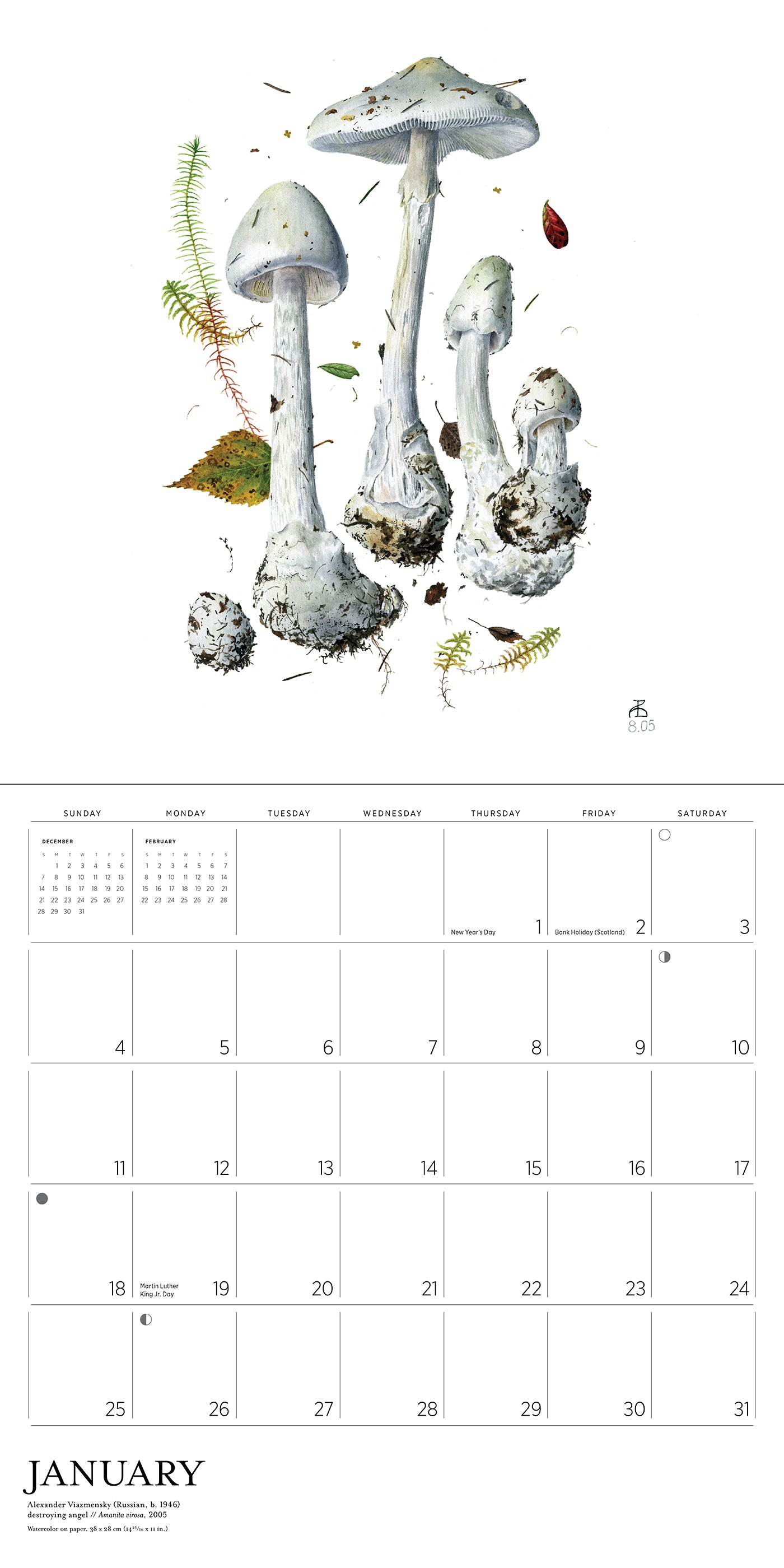 Mushrooms: Alexander Viazmensky 2026 Wall Calendar_Interior_1