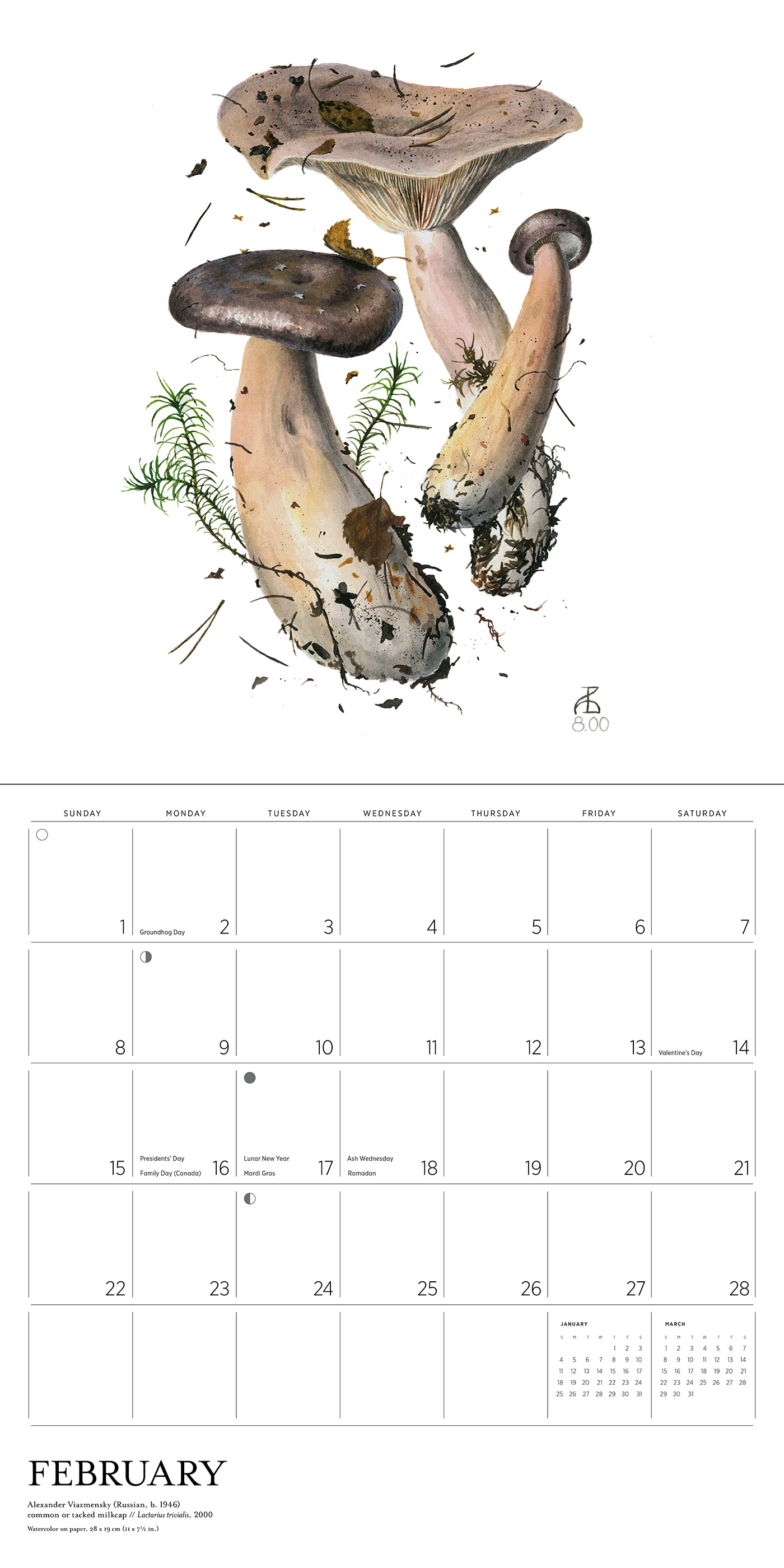Mushrooms: Alexander Viazmensky 2026 Wall Calendar_Interior_2