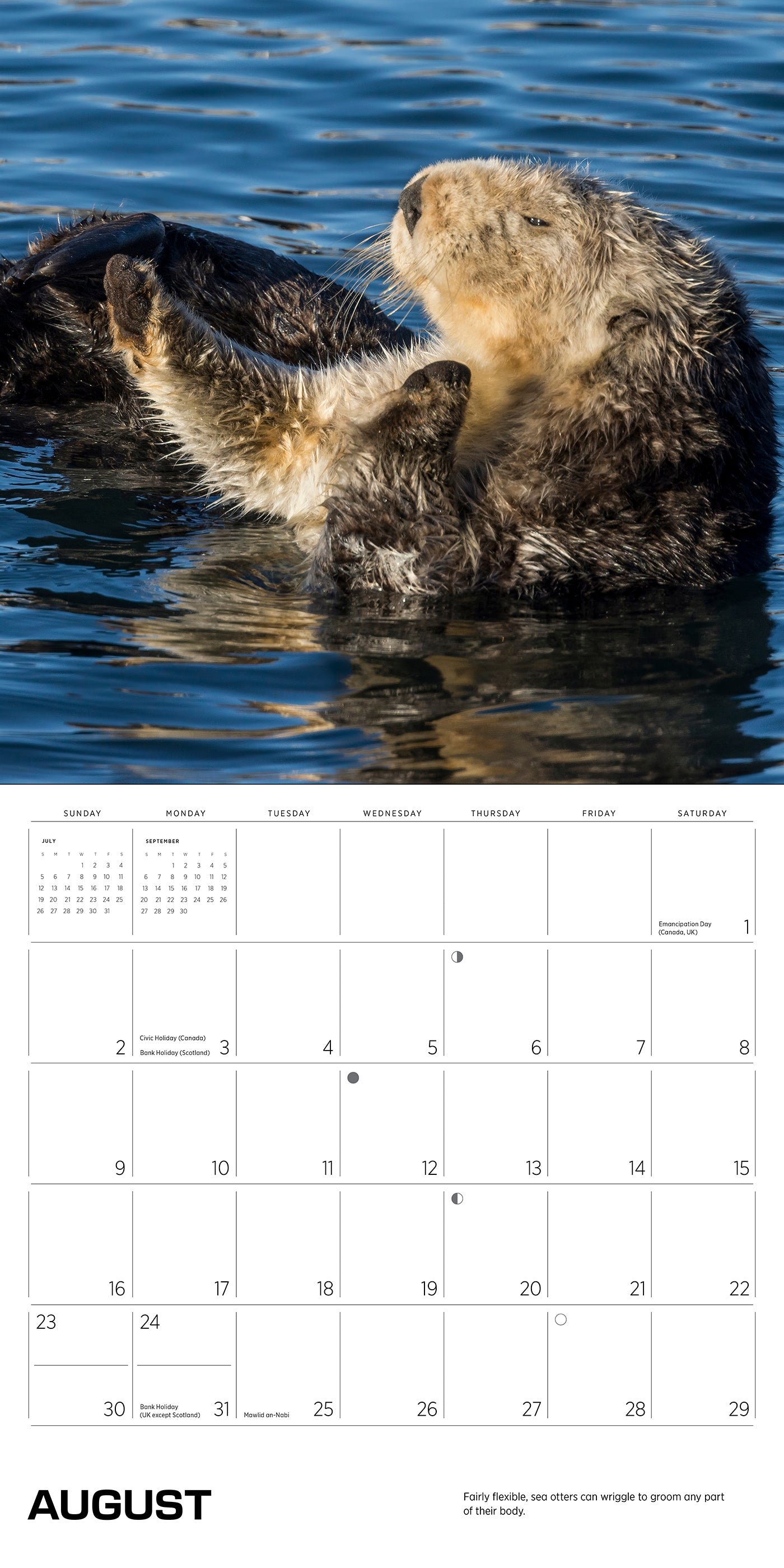 Sea Otters: Photographs by Tom and Pat Leeson 2026 Wall Calendar_Interior_2