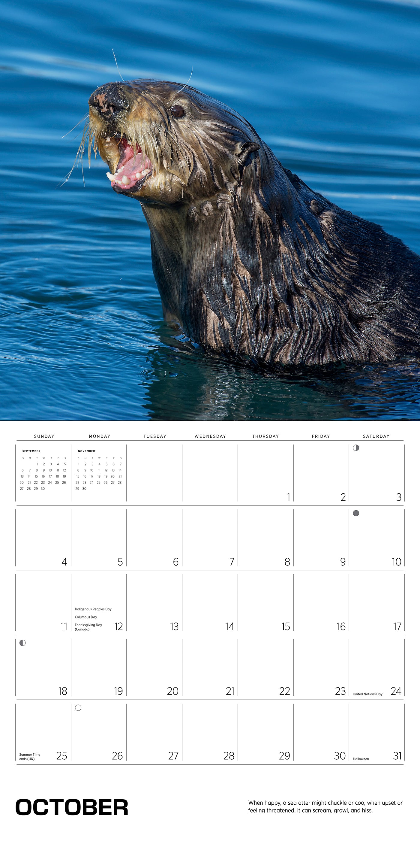Sea Otters: Photographs by Tom and Pat Leeson 2026 Wall Calendar_Interior_4