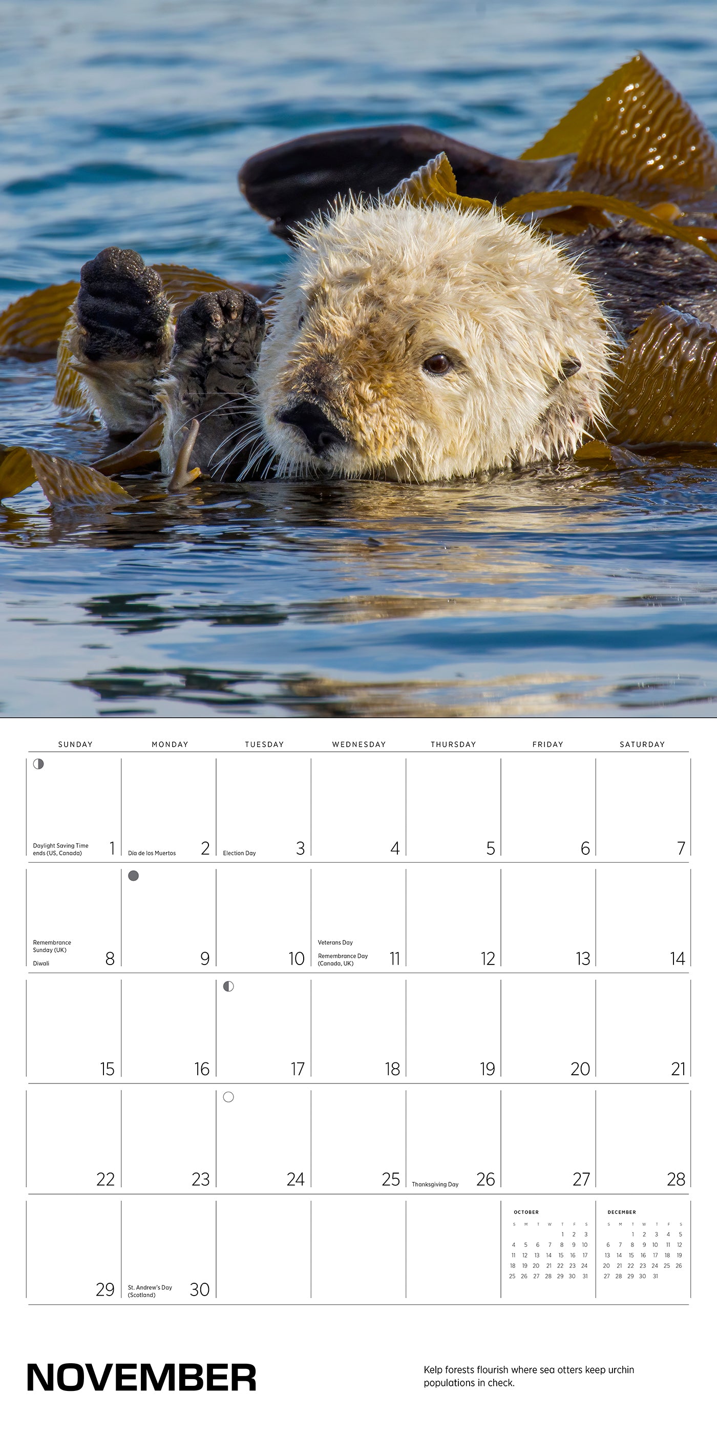 Sea Otters: Photographs by Tom and Pat Leeson 2026 Wall Calendar_Interior_5