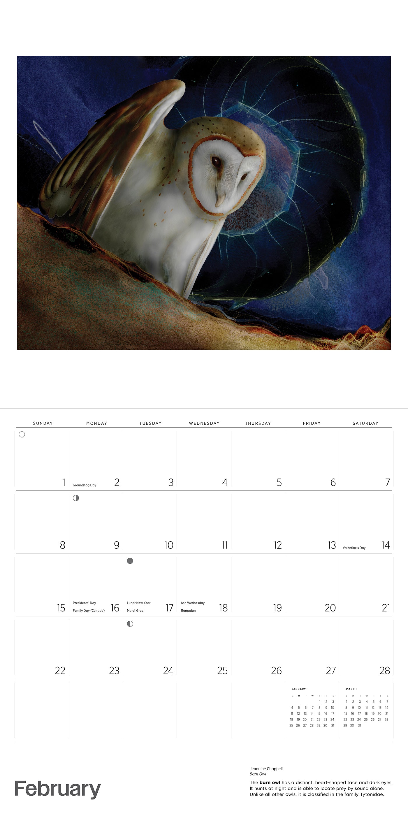 Owls: Jeannine Chappell 2026 Wall Calendar_Interior_2
