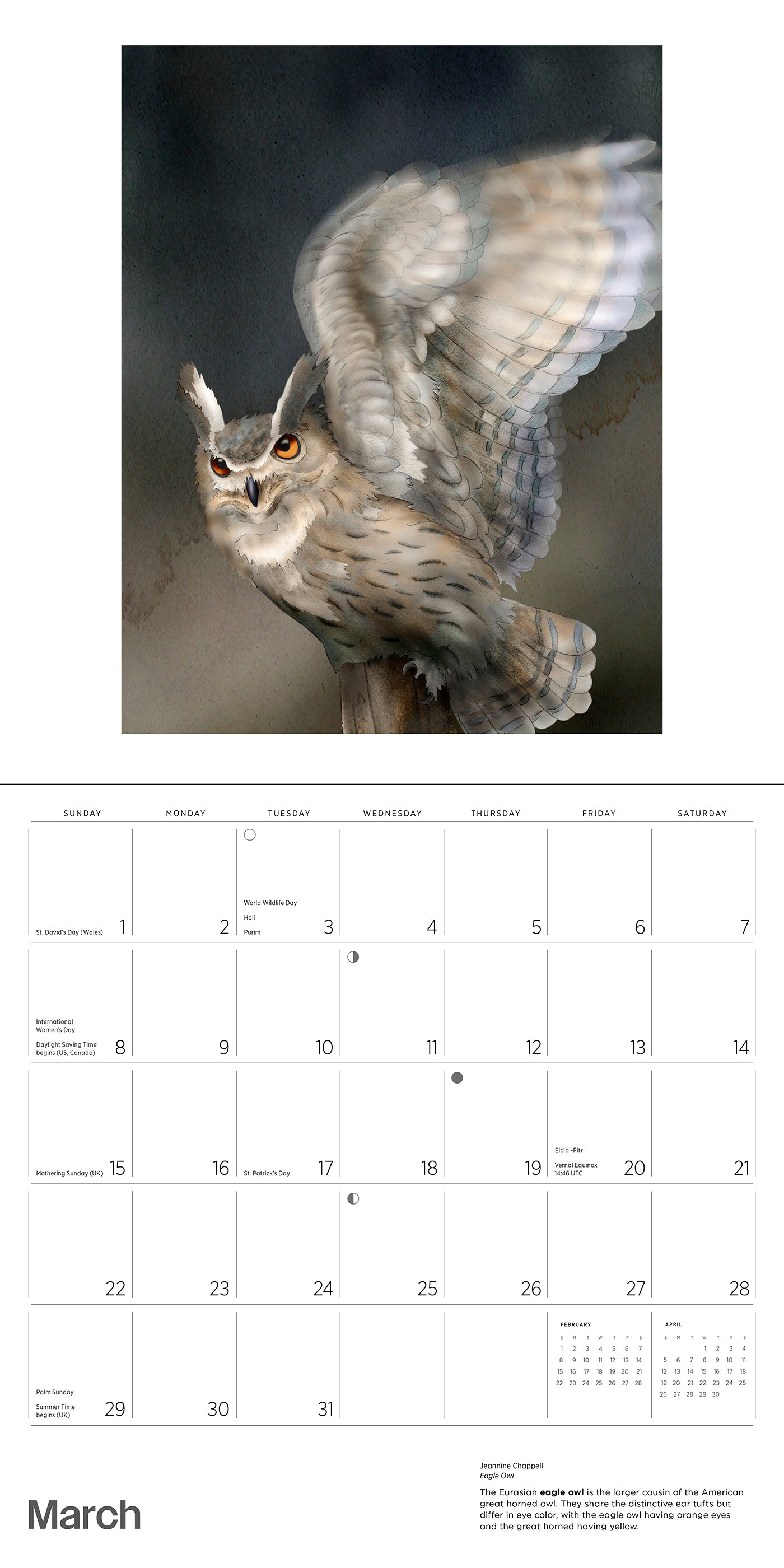 Owls: Jeannine Chappell 2026 Wall Calendar_Interior_3