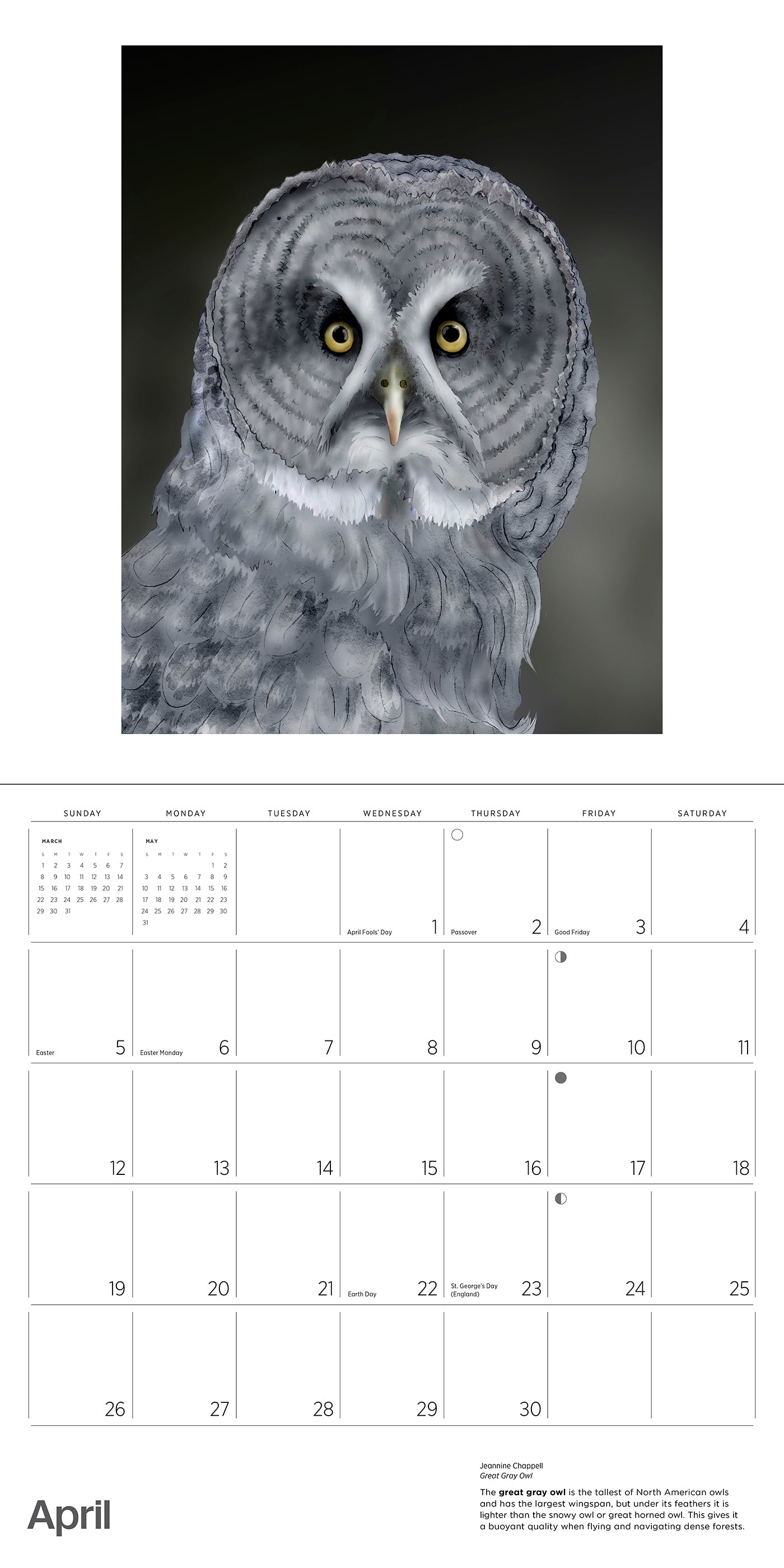 Owls: Jeannine Chappell 2026 Wall Calendar_Interior_4