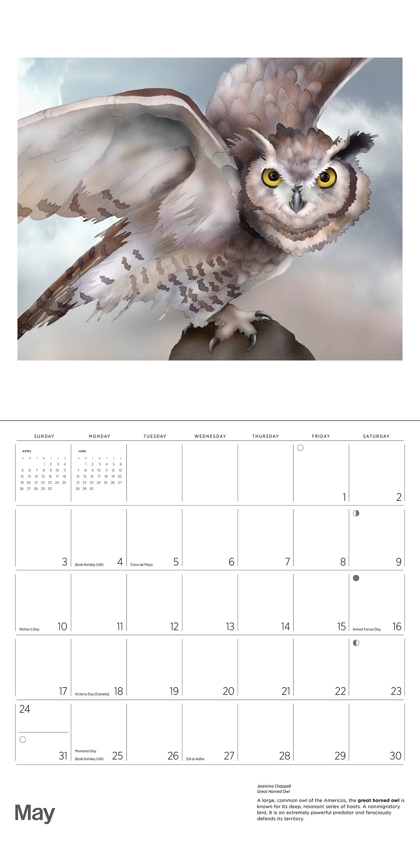 Owls: Jeannine Chappell 2026 Wall Calendar_Interior_5