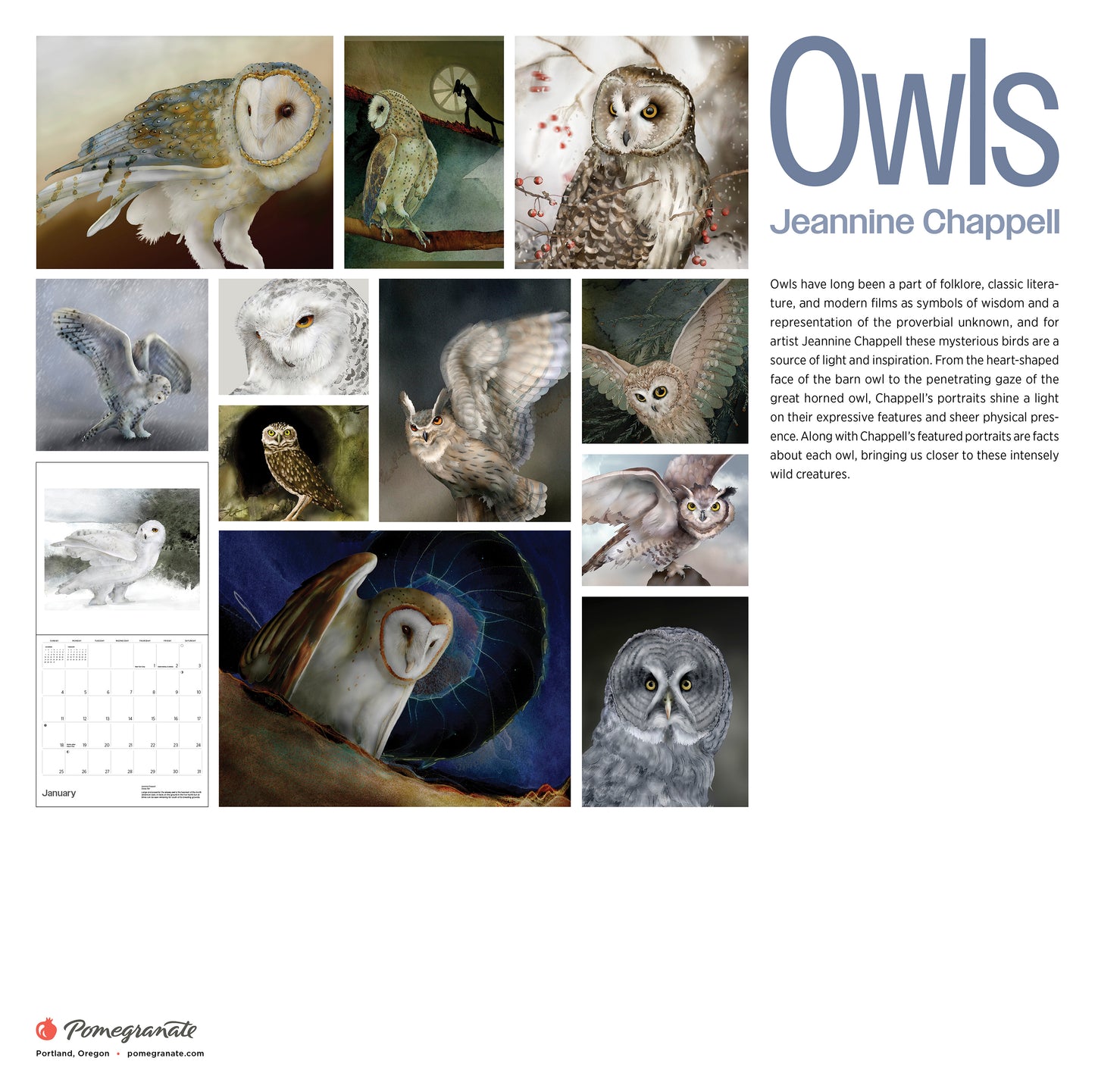 Owls: Jeannine Chappell 2026 Wall Calendar_Back_Multipiece