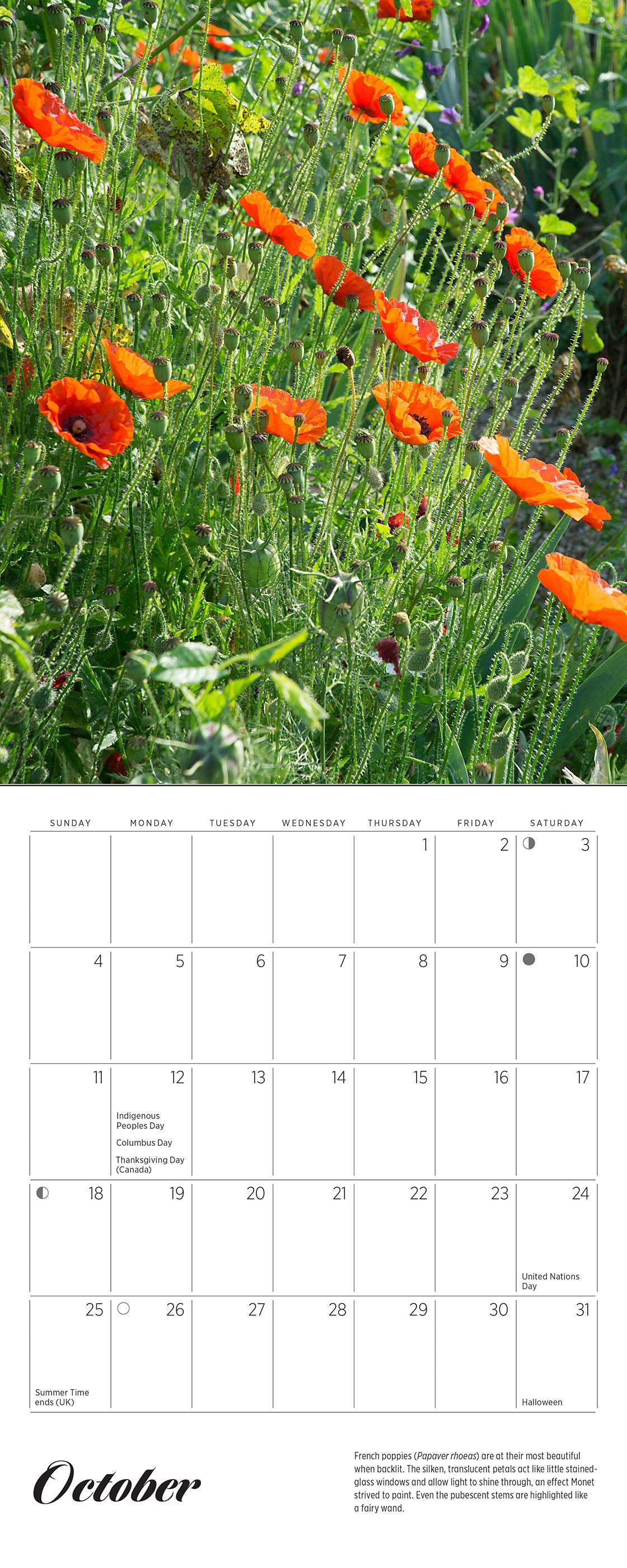 Monet’s Passion: The Gardens at Giverny 2026 Mini Wall Calendar_Interior_3