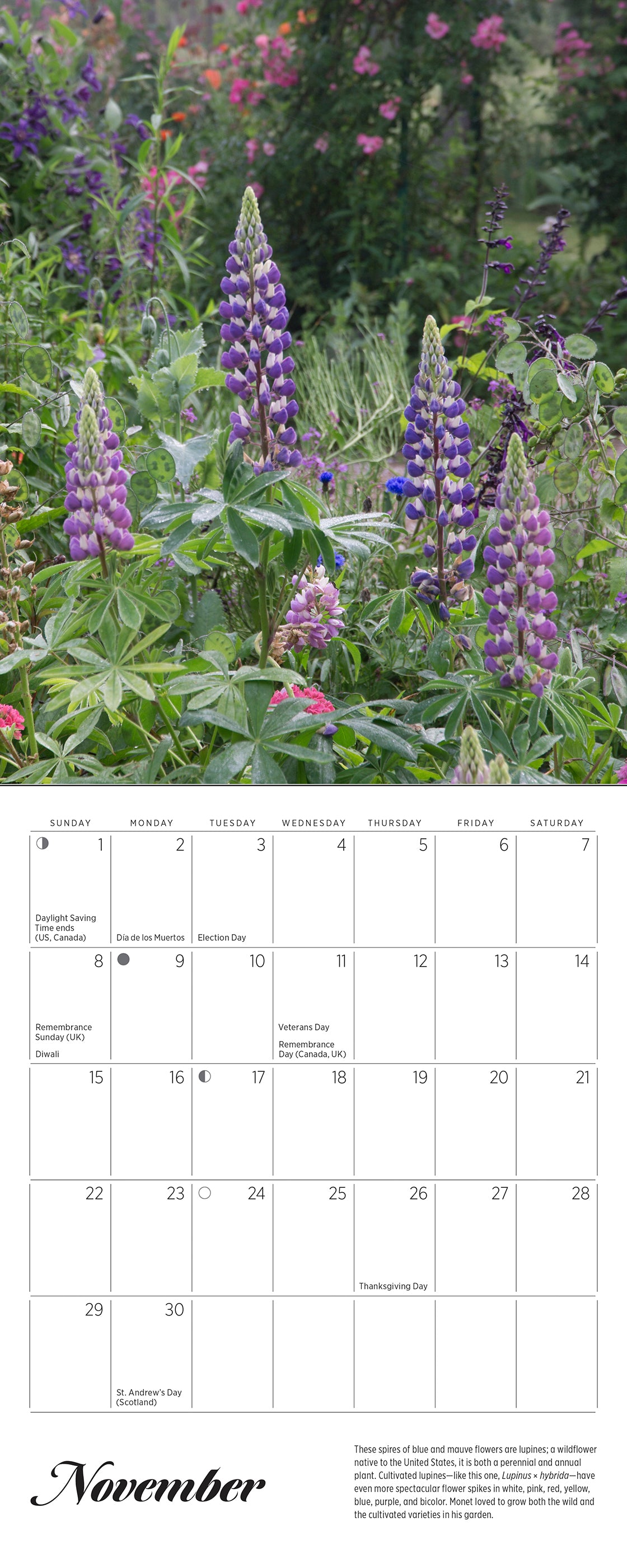 Monet’s Passion: The Gardens at Giverny 2026 Mini Wall Calendar_Interior_4