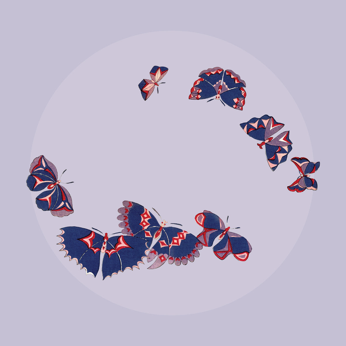 Butterflies 2027 Wall Calendar_Zoom