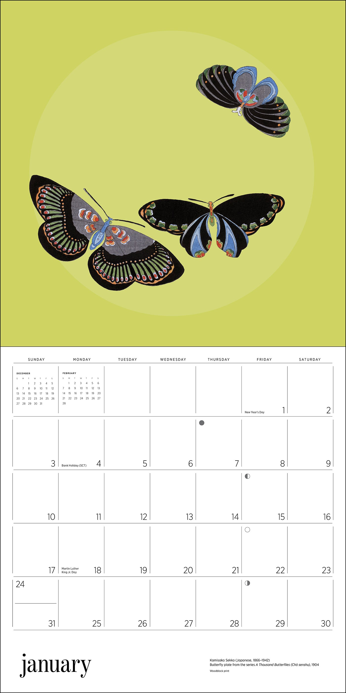 Butterflies 2027 Wall Calendar_Interior_1