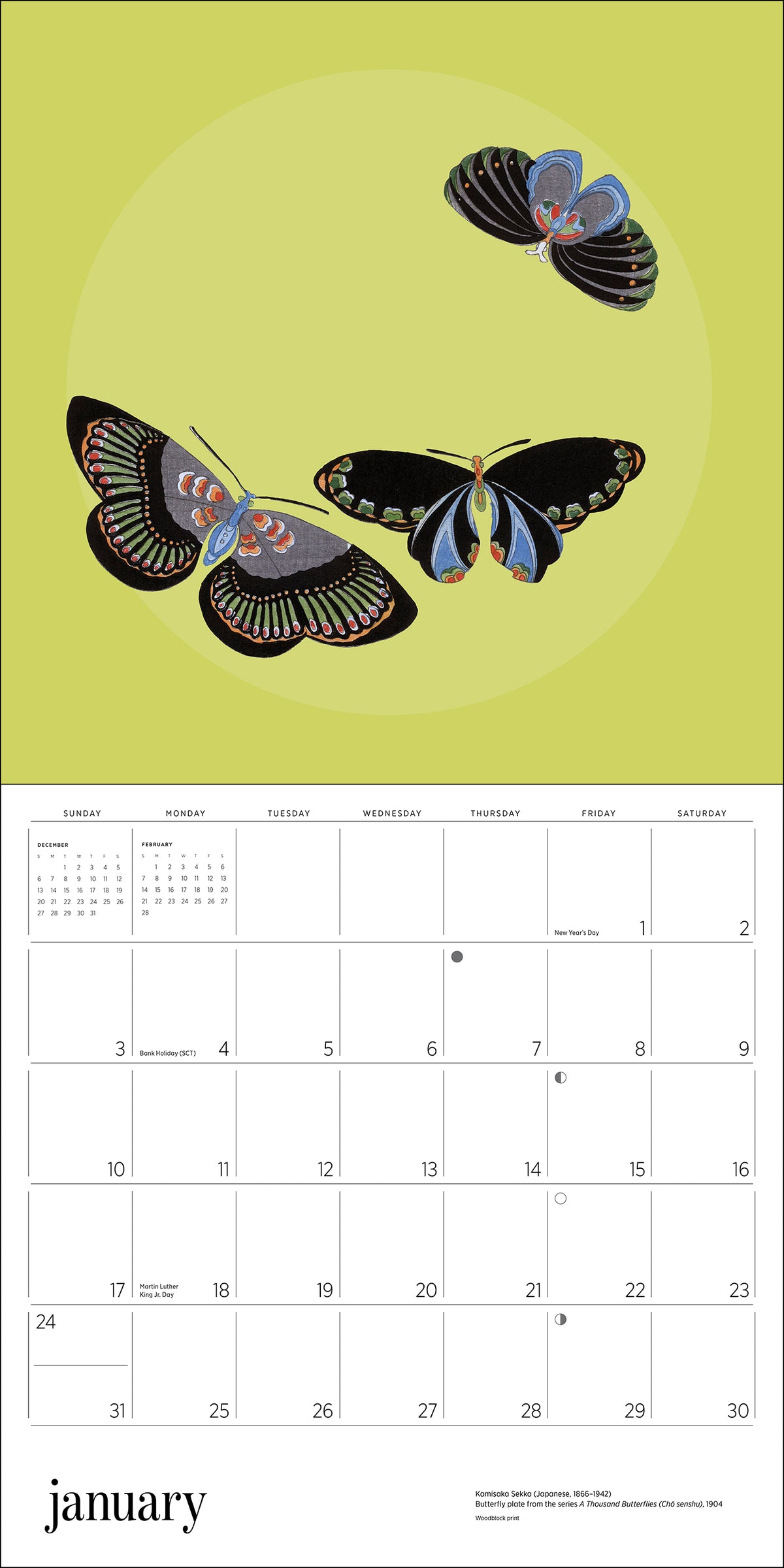 Butterflies 2027 Wall Calendar_Interior_1