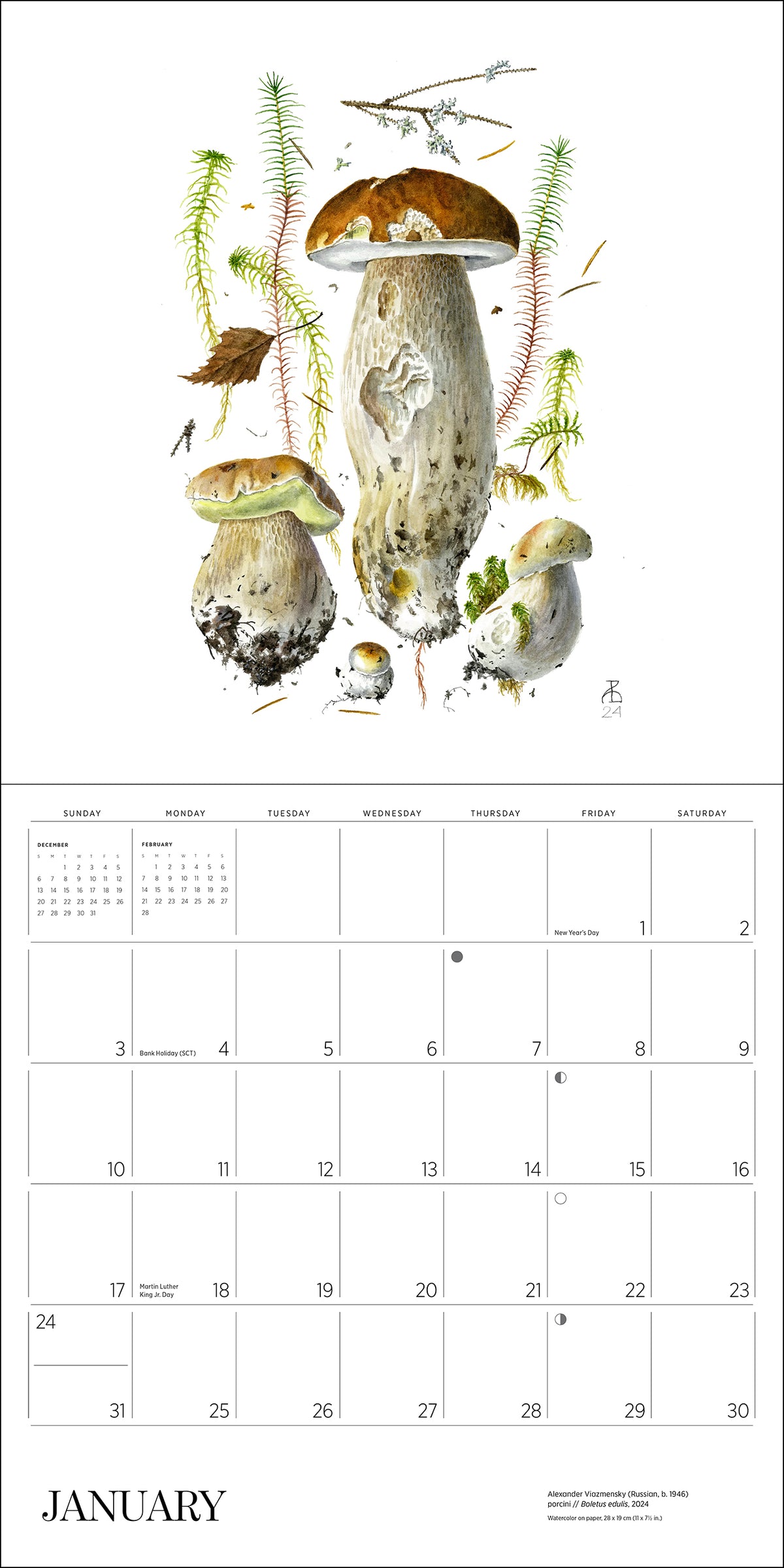 Mushrooms: Alexander Viazmensky 2027 Wall Calendar_Interior_1