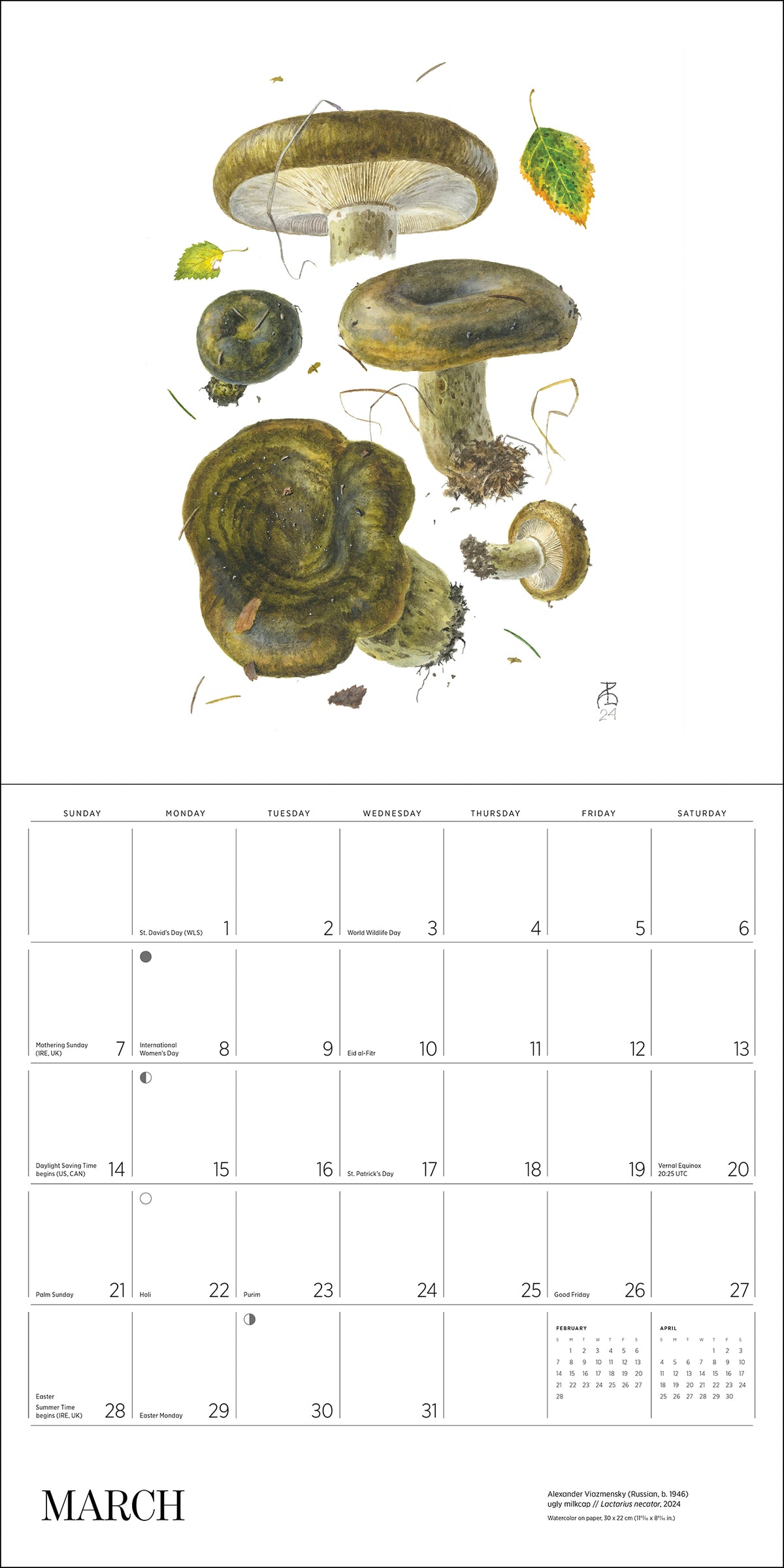 Mushrooms: Alexander Viazmensky 2027 Wall Calendar_Interior_3